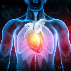 Cardiomyopathy gene panel [Expedited TAT]