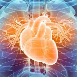 CAD Polygenic Risk Test