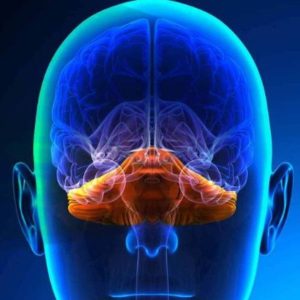 Friedreich ataxia (FXN) - Repeat expansion analysis