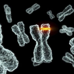 Hunter syndrome - deletion/duplication analysis
