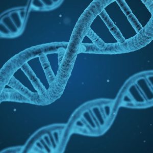 Alpha-methylacetoacetic aciduria (ACAT1) gene sequencing